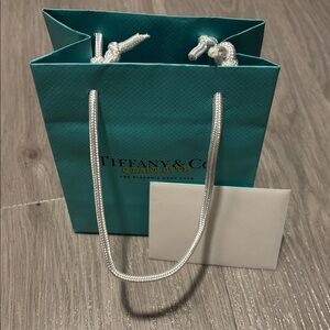 Tiffany & Co. Special Edition Gift Bag and Embossed Card with Envelope (small)